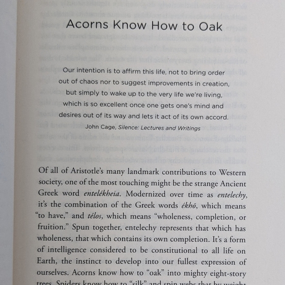 ♻️ SOLDTea And Cake With Demons Paperback Buddhism - Picture 9 of 10